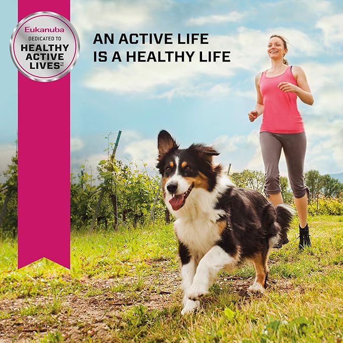 Eukanuba Adult Dry Medium Breed Dog Food, Dry Dog Food for Medium Dogs with Protein, DHA and Vitamins to Support a Healthy Lifestyle, 30 lb Bag - PAWPICO
