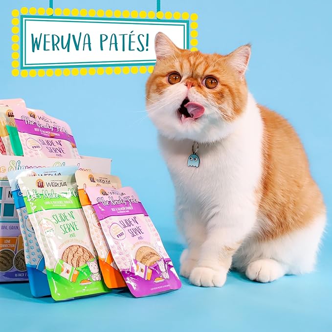 Weruva Wet Cat Food, Love Connection with Chicken and Salmon Pate, 2.8oz Slide N Serve Pouch, Pack of 12 - PAWPICO