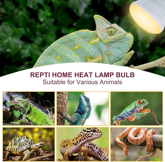 150W Reptile Heat Lamp Bulb 2 Pack,Basking Spot Lamp Bulb for Reptiles & Amphibians,Reptile Daylight Heat Bulb for Bearded Dragon, Lizard, Turtle REPTIHOME