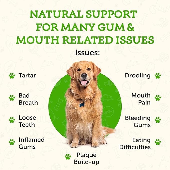 Animal Essentials Healthy Gums for Dogs & Cats - Dental Care, Mouth & Gum Support, Dental Drops, All Natural Pet Supplement, Oral Care - 1 Fl Oz AnimalEssentials