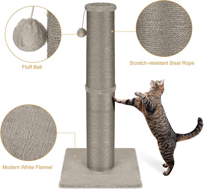 PAWSCRAT Cat Scratching Post 32 Inch High, 5.5 Inch Large Diameter Natural Sisal Cat Scratch Post, Scratch-Resistant and Durable Tall Cat Scratcher for Indoor Cats, Protect Your Furniture, Gery - PAWPICO