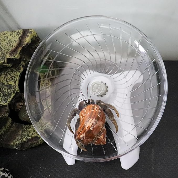 Hermit Crabs Wheel Toy, Hamster Running Wheel Toys, Small Animals Cage Accessory, Tank Accessory, Suitable for Hermit Crab Hamster Rat Oooct