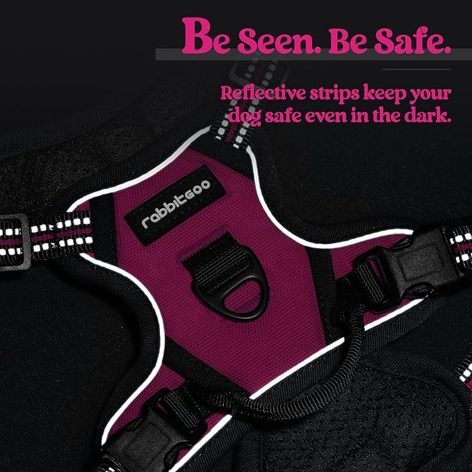 rabbitgoo Dog Harness No Pull with 2 Leash Clips, Adjustable Soft Padded, Reflective Oxford No Choke Pet Vest with Easy Control Handle for Puppy, Hot Pink, XS rabbitgoo