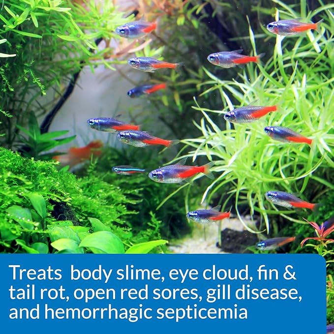 API 2 Pack of Fin and Body Cure Freshwater Fish Medication Powder for Treatment of Bacterial Diseases, Treats Body Slime, Eye Cloud, Fin and Tail Rot, and Gill Disease (10-Count) (2 items) API