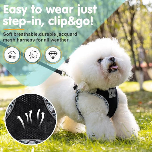 Dog Harness and Leash Set, No Pull Pet Harness for Small Dogs Easy Walking,Soft Breathable Small Dog Harness,Adjustable Reflective Step in Vest Harness for Puppy,Kitten, Cats TomteNisse