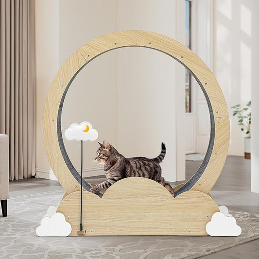 DWVO 37in Cat Exercise Wheel for Indoor Cats with Locking Mechanism, Natural Solid Wood Sturdy Cat Treadmill Wheel with Detachable Carpet, Suitable for Most Cats - PAWPICO