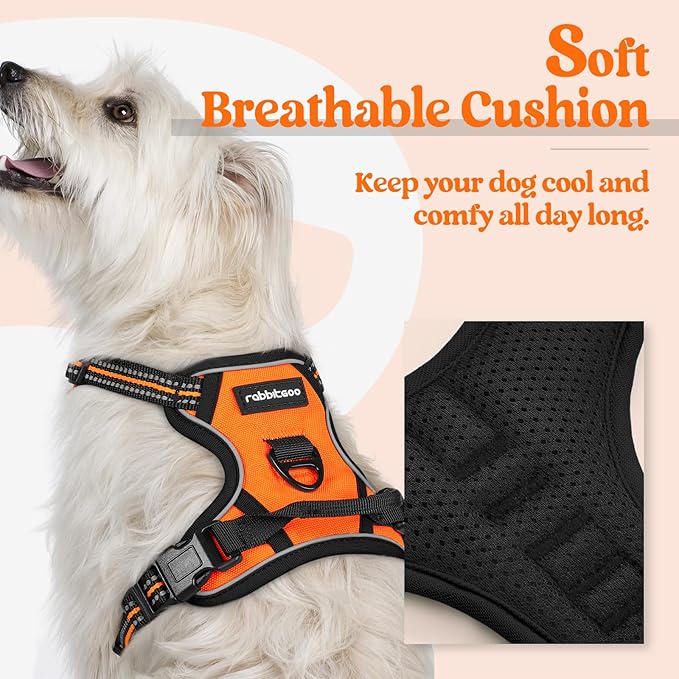 rabbitgoo Dog Harness No Pull with 2 Leash Clips, Adjustable Soft Padded, Reflective Oxford No Choke Pet Vest with Easy Control Handle for Puppy, Orange,XS rabbitgoo