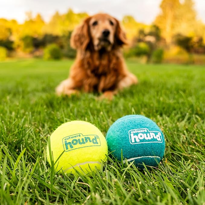 Outward Hound Squeaker Ballz Fetch Dog Toy, Large - 2 Pack - PAWPICO