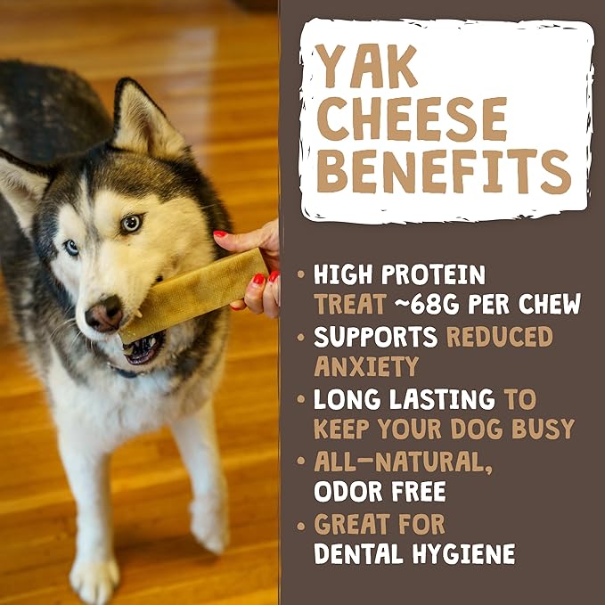 Mighty Paw Yak Cheese Chews for Dogs | All-Natural Long Lasting Pet Treats. Odorless and Great for Oral Health. Limited-Ingredient Chews for Puppies & Power-Chewers (Large, 8 Pack) - PAWPICO