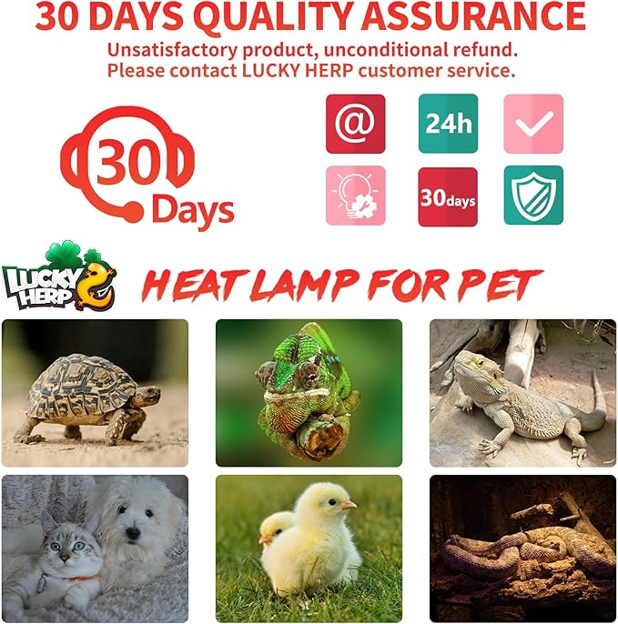 LUCKY HERP Reptile Heat Lamp - 100W Ceramic Heat Emitter Reptile Heat Lamp Bulbs (1 Pack), No Light Ceramic Heat Bulb, Ceramic Heat Lamp for Reptiles Amphibian Chicken Pet Brooder Coop Lizard Turtle LUCKYHERP
