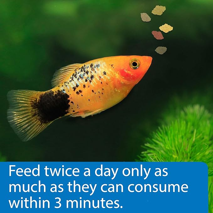 API TROPICAL FLAKES Fish Food 5.7-Ounce Container API