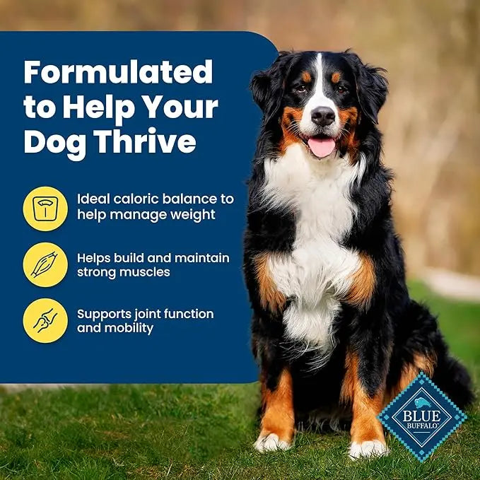 Blue Buffalo Life Protection Formula Natural Adult Healthy Weight Dry Dog Food, Chicken and Brown Rice 15-lb - PAWPICO