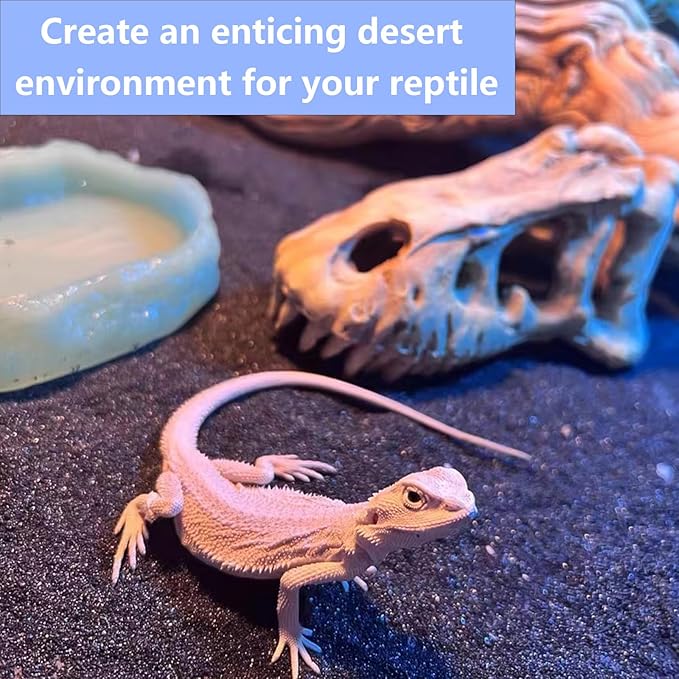 BNOSDM Reptile Sand Bearded Dragons Substrate Sands Lizard Terrarium Bedding Desert Blend for Snakes Geckos Chameleon Tortoise Frogs Scorpion Invertebrates Amphibian(Black) BNOSDM