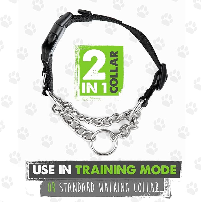 Mighty Paw Martingale Dog Collar 2.0 | Trainer Approved Limited Slip Collar with Stainless Steel Chain & Heavy Duty Buckle - Modified Cinch Collar for Gentle & Effective Pet Training - Small, Grey MightyPaw