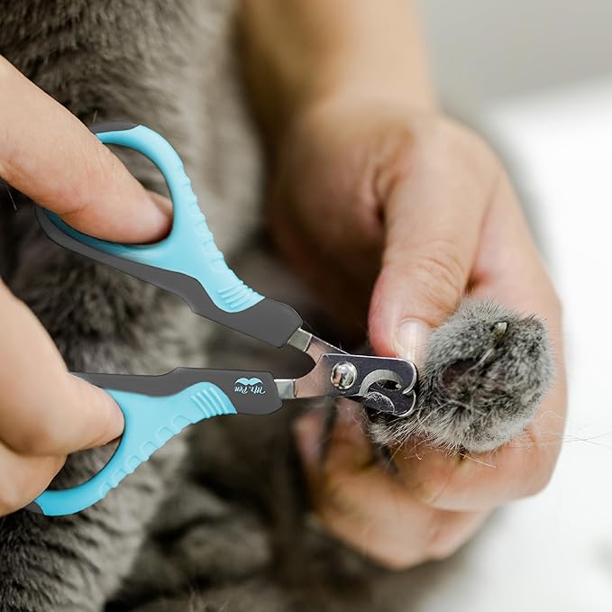 Mr. Pen- Cat Nail Clipper, Sky Blue & Dark Gray Cat Nail Trimmer, Cat Nail Clippers, Cat Claw Clippers, Cat Clippers for Nails, Pet Nail Clippers, Kitten Nail Clipper, Small Dog Nail Clipper - PAWPICO