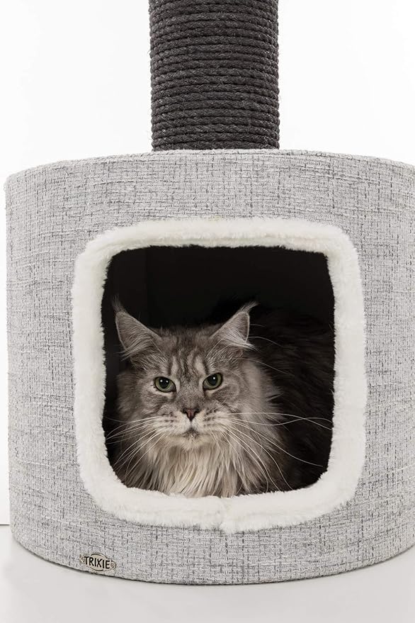 TRIXIE Fonda Cat Scratching Post 39 Inch - Cat Scratcher with Soft Fabric Covering Base and Durable Sisal Rope - for Large Cats with Condo Base and Platform - in Gray - PAWPICO