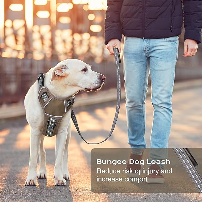 No Pull Dog Harness for Large Dogs, Adjustable No Choke Pet Vest with Dog Leash Fit Smart Reflective Pet Walking Harness for Training Easy Control Soft Handle Brown XL BUMBIN