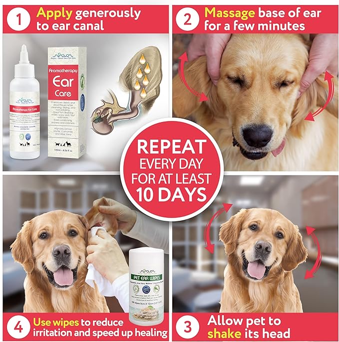 Arava Natural Dog Ear Infection Treatment -First Aid in Acute & Chronic Inflammations - Anti Itch Effective Ear Cleaner - Pet Otic Aromatherapy Ear Care Solution Arava-DeadSeaPetSpa