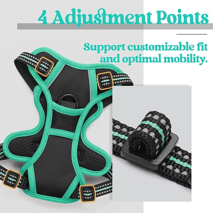 rabbitgoo Dog Harness, No-Pull Pet Harness with 2 Leash Clips, Adjustable Soft Padded Dog Vest, Reflective No-Choke Pet Oxford Vest with Easy Control Handle for Large Dogs, Black & Turquoise, X-Small - PAWPICO