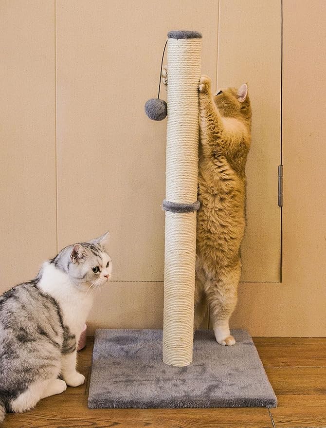 32 Inches Tall Cat Scratching Post, Cat Scratch Post Tree Kitten Scratcher with Sisal Rope, Scratching Post for Indoor Cats with Hanging Ball - PAWPICO