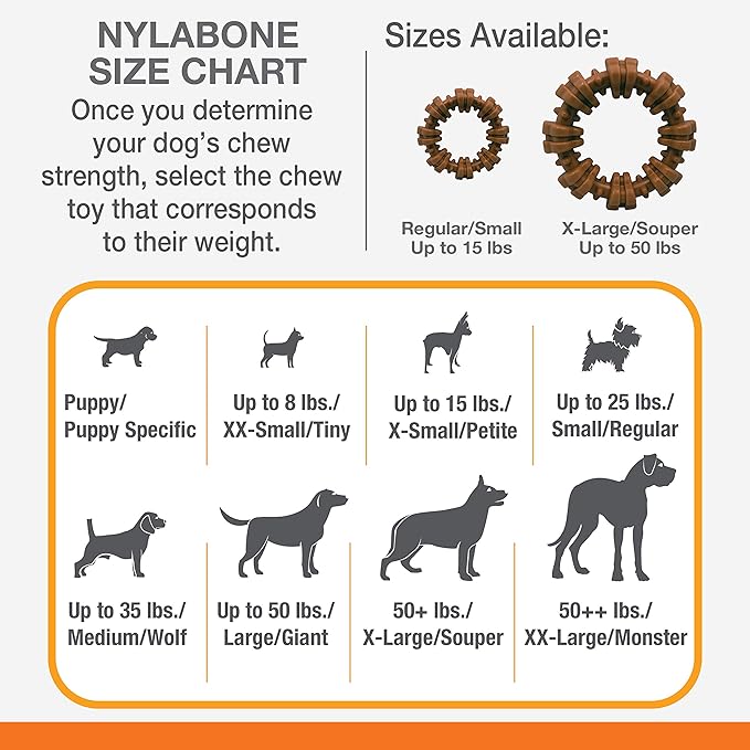 Nylabone Power Chew Textured Dog Chew Ring Toy - Tough and Durable Dog Chew Toy for Aggressive Chewers - Flavor Medley, Small/Regular (1 Count) - PAWPICO