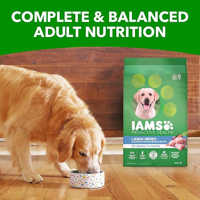 IAMS Adult High Protein Large Breed Dry Dog Food with Real Chicken, 40 lb. Bag - PAWPICO