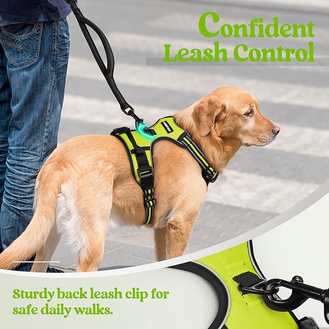rabbitgoo Dog Harness No Pull with 2 Leash Clips, Adjustable Soft Padded, Reflective Oxford No Choke Pet Vest with Easy Control Handle for Small Dogs, Wild Lime,S rabbitgoo