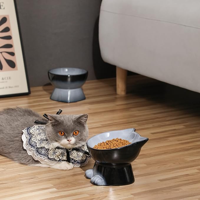 Nihow Elevated Cat/Dog Bowls Set : 6.2 Inch Ceramic Raised Cat Food & Water Bowl Set for Protecting Pet's Spine - Feeding & Watering Supplies for Cat/Small Size Dog - Elegant Gray(2PC) - PAWPICO
