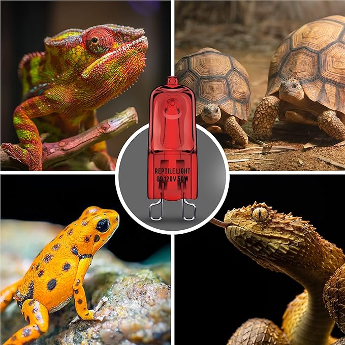 Briignite G9 Infrared Heat Lamp Bulbs for Reptile, Mini Reptile Light, Dimmable Night Red UVA Reptile Heat Lamp, 2 Pin Base Mini Heat Bulbs 50W, Bearded Dragon Turtle Lizard, 6 Pack WelcometoBriigniteenjoyyourshopping