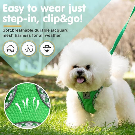 Dog Harness and Leash Set, No Pull Pet Harness for Small Dogs Easy Walking,Soft Breathable Small Dog Harness,Adjustable Reflective Step in Vest Harness for Puppy,Kitten, Cats TomteNisse