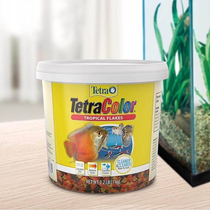 TetraColor Tropical Flakes, Color Boosting Fish Food, Nutritionally Balanced Diet for Tropical Fish, 2.2 lbs Tetra