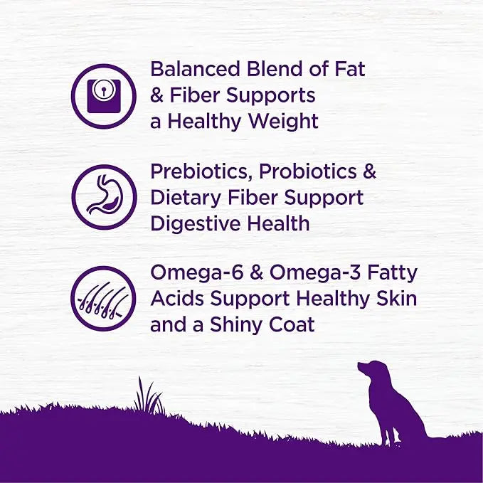 Wellness Complete Health Dry Dog Food with Grains, Natural Ingredients, Made in USA with Real Meat, All Breeds, For Adult Dogs (Healthy Weight - Chicken & Potatoes, 5-Pound Bag) - PAWPICO