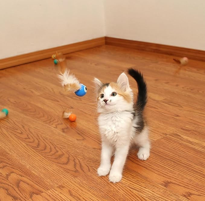 3 Pack Interactive Bouncy Ball with Natural Feathers for Indoor Cats and Kittens who Love to Play and Have Fun. - PAWPICO