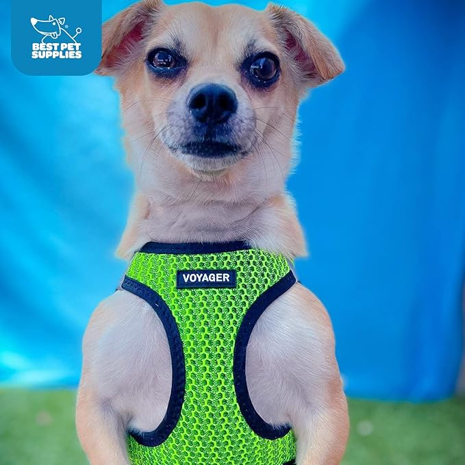 Voyager Step-in Air Dog Harness - All Weather Mesh, Reflective, No Pull Harness for Small, Medium Dogs, Cats - Secure with Hook & Loop Fastener, Buckle, Double D-Rings - Lime Green 2-Tone, S BestPetSuppliesLLC