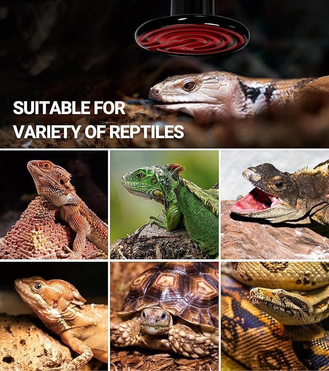 REPTI ZOO 2Pack Ceramic Heat Emitter 60W Reptile Heat Lamp Night Heat Lamp Bulbs Reptile Terrarium Heat lamp Tank Heat Bulb for Turtle Bearded Dragon Gecko Lizard Snake Chicken E26 REPTIZOO