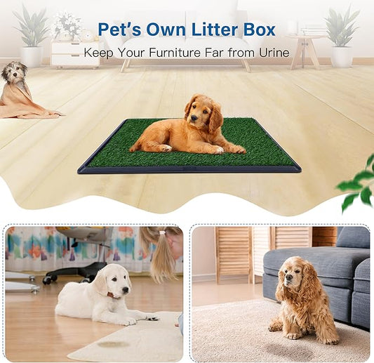 Artificial Grass for Dog Potty – 20x25 inch,Strong Absorbency Grass Pad, Dog Grass Pad with Tray, Dog Potty Training Pad, Dog Litter Box with Grass (Medium) - PAWPICO