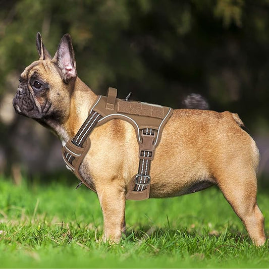 Heavy Duty Tactical Dog Harness for Small Dogs, No Pull Adjustable Pet Harness Reflective Service Training Easy Control Pet Vest Military K9 Working Dog Harnesses- Small, Brown Beebielove