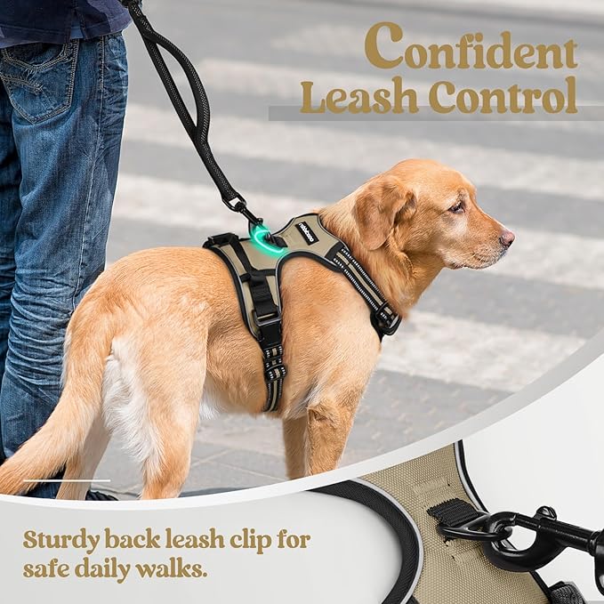 rabbitgoo Dog Harness No Pull with 2 Leash Clips, Adjustable Soft Padded, Reflective Oxford No Choke Pet Vest with Easy Control Handle for Large Dogs, Beige, L rabbitgoo