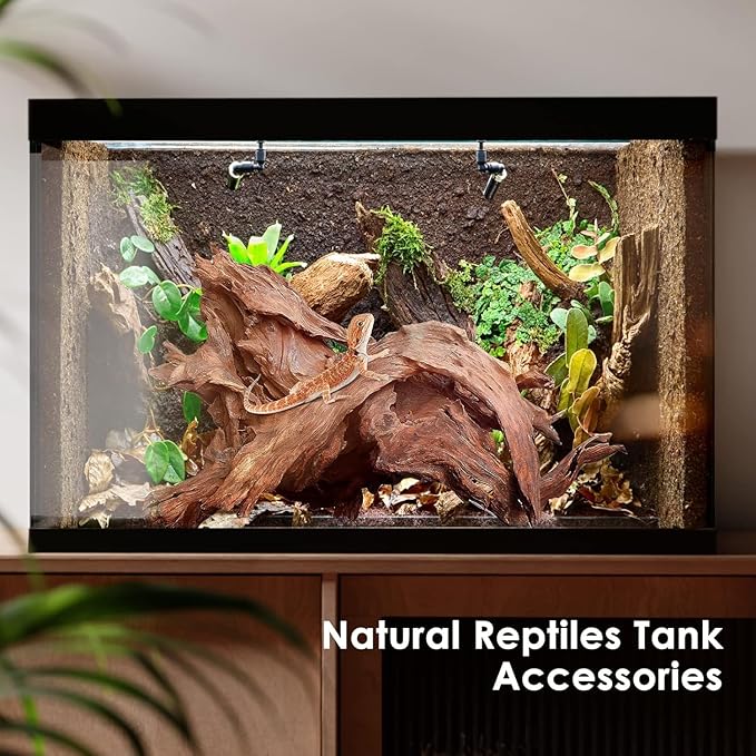 Natural Small Coral Driftwood for Aquarium Decor Fish Tank Decorations Reptile Decor, Assorted Driftwood Branch 5-8" Pack of 5 Jorewood