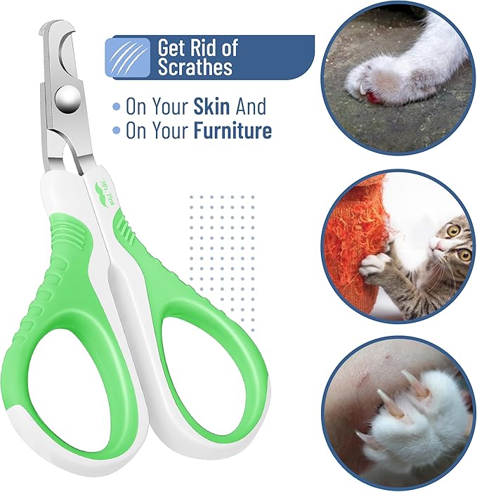 Mr. Pen- Cat Nail Clipper, Spring Green & White Cat Nail Trimmer, Cat Nail Clippers, Cat Claw Clippers, Cat Clippers for Nails, Pet Nail Clippers, Kitten Nail Clipper, Small Dog Nail Clipper - PAWPICO