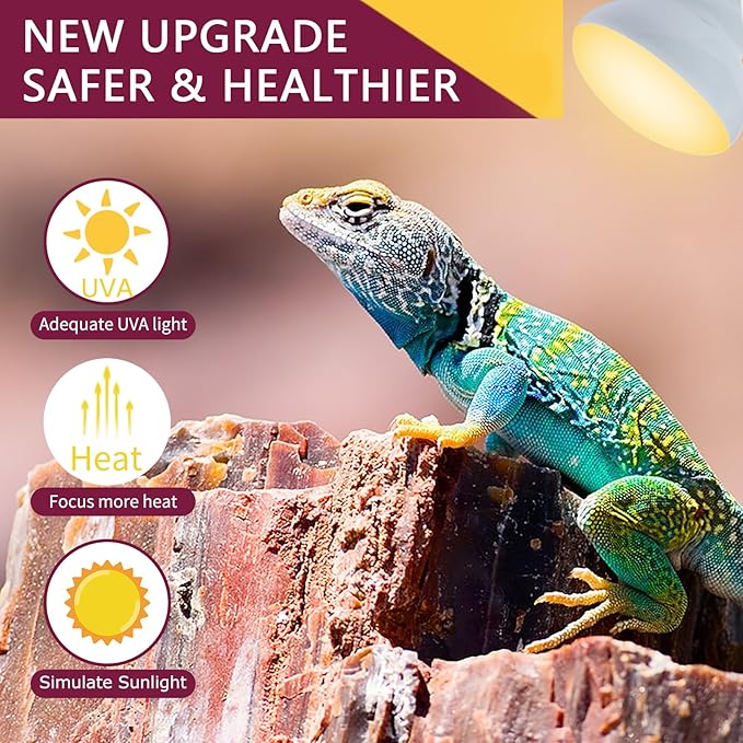 150W Reptile Heat Lamp Bulb,Basking Spot Lamp Bulb for Reptiles & Amphibians,Reptile Daylight Heat Bulb for Bearded Dragon, Lizard, Turtle REPTIHOME