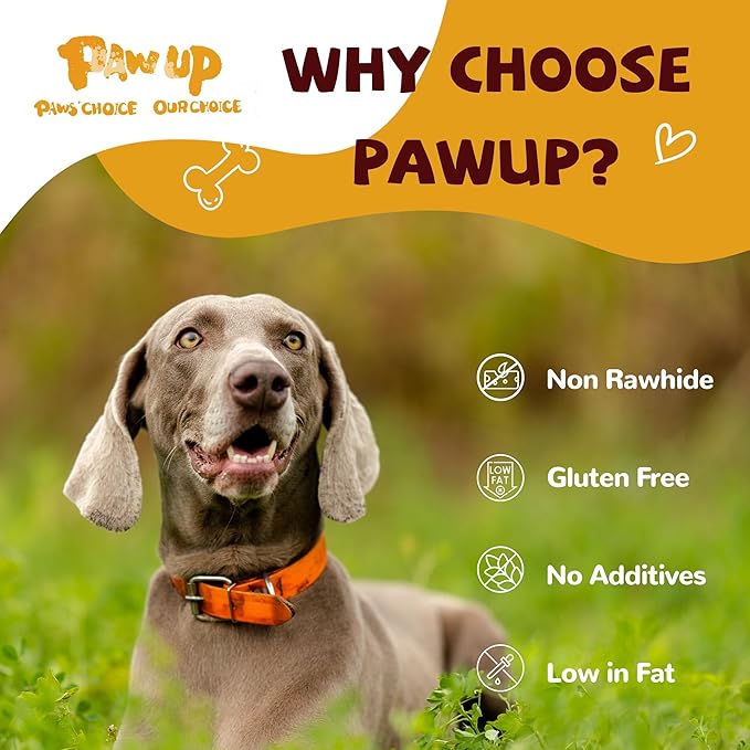 Chicken Jerky Dog Treats, Lower Moisture Content, Healthy Premium Chewy Dog Jerky Treats, 10.6 oz - PAWPICO