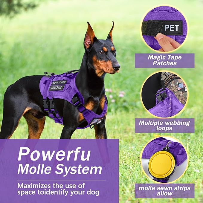 No Pull Tactical Dog Harness for Small Dogs, Escape Proof Molle Dog Vest Harness and Leash Set, Adjustable Military Service Dog Harness with Handle for Medium Large Dogs(S:25"-30"Chest Girth) Yungaspy