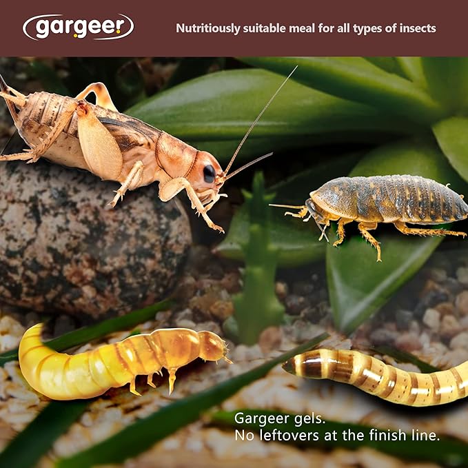 Bugs and Insects Food. Complete Gel Diet for Roaches, Crickets, Worms, Dubia, Fly, etc. Made in The USA, Using Premium Nutritional Ingredients. 3oz Powder Turns into 1 Pound of Ready Food. Gargeer