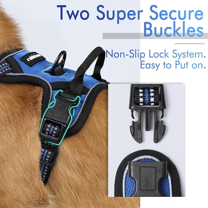 rabbitgoo Dog Harness, No-Pull Pet Harness with 2 Leash Clips, Adjustable Soft Padded Dog Vest, Reflective No-Choke Pet Oxford Vest with Easy Control Handle for Small Dogs, Dazzling Blue,XS - PAWPICO