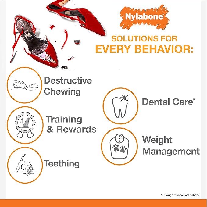 Nylabone Power Chew Classic Bone Chew Toy for Dogs, Durable Dog Toys for Aggressive Chewers, Flavor Frenzy Beef Jerky & Chicken, Large/Giant - Up to 50 lbs. (2 Count) - PAWPICO