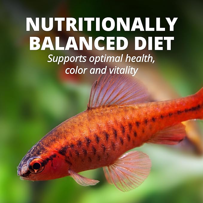 TetraColor Tropical Flakes, Color Boosting Fish Food, Nutritionally Balanced Diet for Tropical Fish, 2.2 lbs Tetra