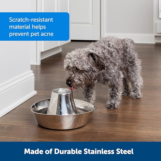 PetSafe Seaside Pet Water Fountain (60 oz/1.8L Water Capacity) Stainless Steel Cat Water Fountain, Helps Prevent Pet Acne, Scratch and Rust-Resistant Material - PAWPICO