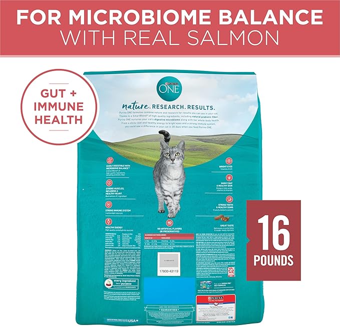 Purina ONE Natural Dry Cat Food, Tender Selects Blend With Real Salmon - 16 lb. Bag - PAWPICO
