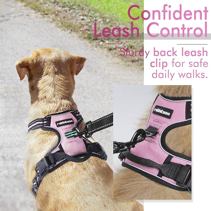 rabbitgoo Dog Harness, No-Pull Pet Harness with 2 Leash Clips, Adjustable Soft Padded Dog Vest, Reflective No-Choke Pet Oxford Vest with Easy Control Handle for Small Dogs, Pink, S - PAWPICO